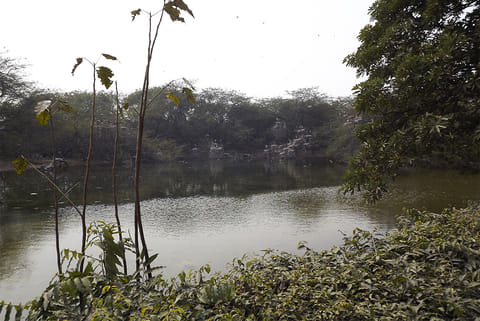 प्रतीकात्मक तस्वीर: आईस्टॉक