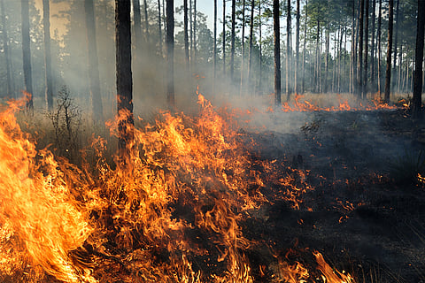 फोटो: आईस्टॉक