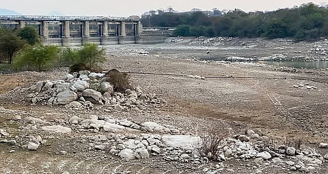 प्रतीकात्मक; फोटो: आईस्टॉक