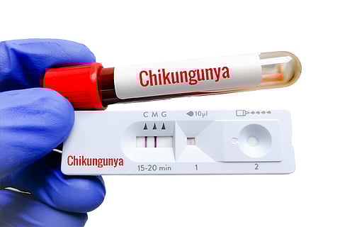 हर साल चिकनगुनिया के 58 लाख मामले रोक सकती है वैक्सीन: स्टडी