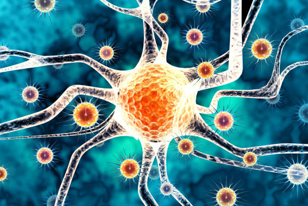 केरल के तीन जिलों निपाह वायरस ने पैर पसार लिए हैं, इन जिलों में कोझीकोड, मलप्पुरम और पलक्कड़ शामिल हैं।