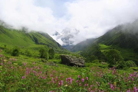 आज, हिमाचल प्रदेश, जम्मू और कश्मीर, लद्दाख, गिलगित-बाल्टिस्तान-मुजफ्फराबाद और उत्तराखंड में 115.6 से 204.4 मिमी तक बारिश हो सकती है।