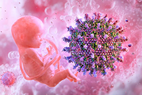 अगर कोई गर्भवती महिला इस वायरस से संक्रमित हो जाए तो उसका बच्चा जन्म से ही विकलांग हो सकता है या कई बार गर्भपात भी हो सकता है।