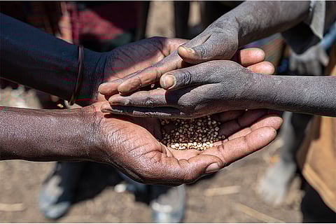 संयुक्त राष्ट्र की ट्रांस-फैटी एसिड नीति से अफ्रीका में पोषण पर खतरा