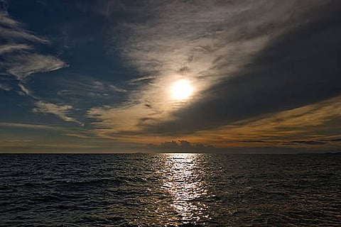 अलास्का की खाड़ी में दो प्रमुख लू का अध्ययन (2013 से 15 ‘द ब्लॉब’ और 2019 से 20), दोनों ने अलग-अलग तरीकों से समुद्री खाद्य श्रृंखला और कार्बन प्रवाह को प्रभावित किया।