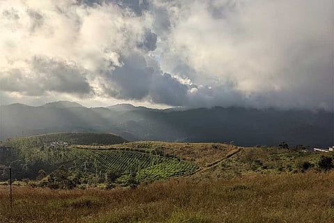 दक्षिण भारत में उत्तर-पूर्वी हवाओं का बहना शुरू हो गया है, इसी के साथ, तमिलनाडु, केरल, कर्नाटक और आंध्र प्रदेश के कई हिस्सों में बारिश की गतिविधियों में वृद्धि देखी जा रही है।