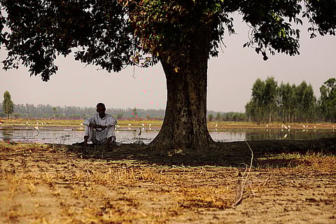 गर्मी के बीच पेड़ की ठंडी छाया में कुछ पल आराम करता किसान; फोटो: आईस्टॉक