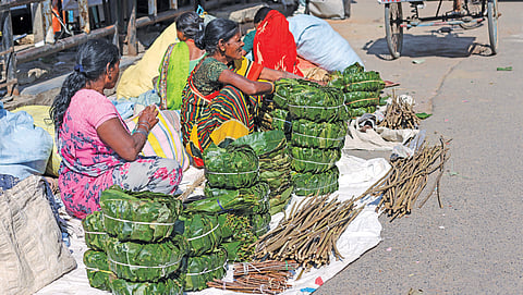 रांची के डेली मार्केट में रोजाना बोकारो और आसपास से तेंदू पत्ता लाकर बेचती आदिवासी महिलाएं