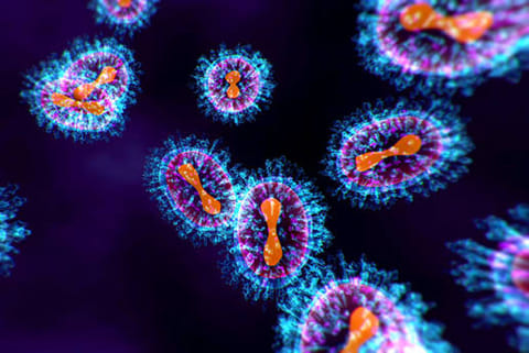 196 संपर्कों की पहचान, निगरानी और परीक्षण किया गया, सभी लोगों की रिपोर्ट निगेटिव आई, किसी में वायरस नहीं मिला।