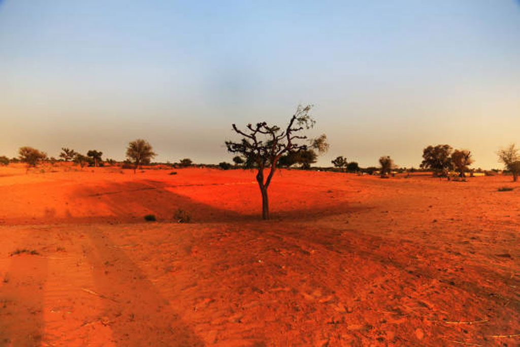 वैश्विक तापमान तेजी से बढ़ रहा है, 2015 के बाद वृद्धि दर लगभग दो गुना हो गई, रिकॉर्ड गर्म साल सामने आए।