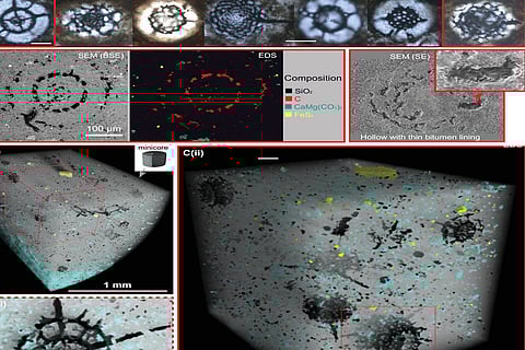 चीन के सिचुआन बेसिन से मिले 44.5 करोड़ साल पुराने शेल में 20 से अधिक सूक्ष्म समुद्री जीवाश्म पाए गए।