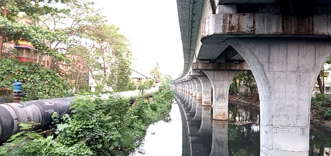 मेट्रो के खंभों में उलझी आदि गंगा की मूल धारा। फोटो: सुचित्रा राय