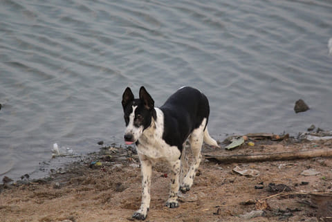 प्रतीकात्मक तस्वीर: आईस्टॉक