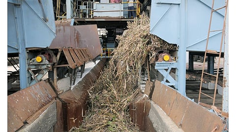 Crushing of canes commences at Kurugulam Aringar Anna Sugar Mill in Thanjavur on Thursday