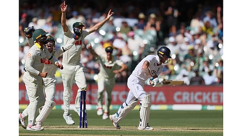 Australian players celebrate after England's Ben Stokes, right, was dismissed during play on day four of the third Ashes cricket test between England and Australia in Adelaide, Australia (Photo: AP)