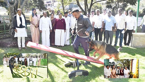 Visual from the park