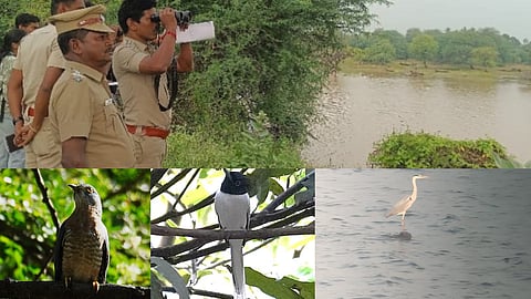Forest officials conduct bird census in Virudhunagar district. Some of the rare species spotted