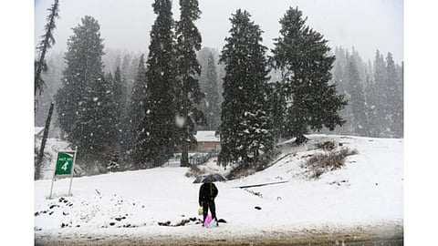 Tourist started to witness snowfall in Kashmir