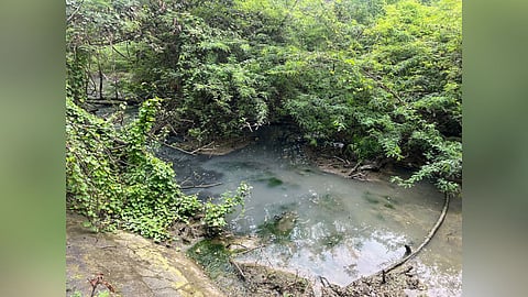 Sewage discharged on Metro Water land in Ayanavaram