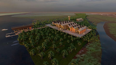 Pichavaram mangroves