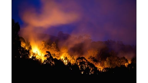 Bushfire in Victoria, Australia.