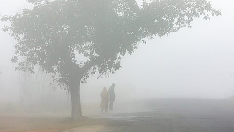 Dense fog in north India