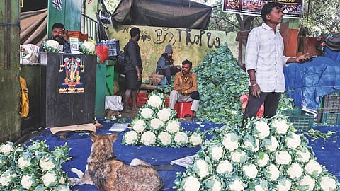 Representative image