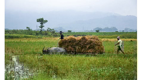 Representative image