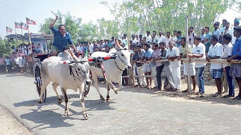 Rekla race in progress