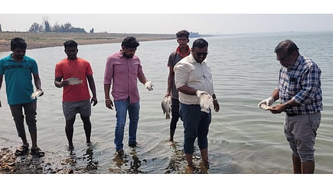 Officials of fisheries department inspect Vaigai dam, where many dead fish were washed ashore