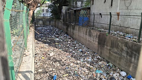Garbage floats on the canal which connects with the Adyar river