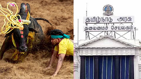 Representative Image for Jallikattu and TN government