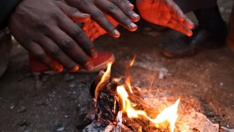 Representative Image for firewood