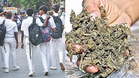 Image of (L) school students and (R) ganja used for representative purpose