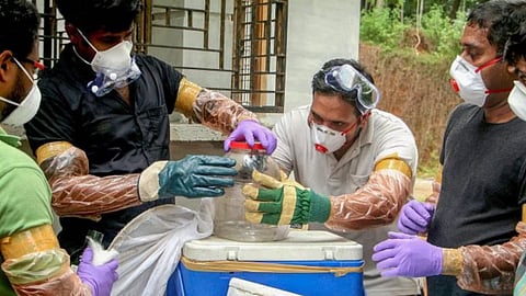 Nurse who recovered from Nipah virus infection dies of cardiac arrest in Bengal hospital: Official