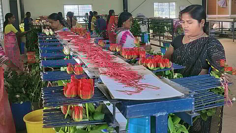 Roses being segregated for sale in Hosur