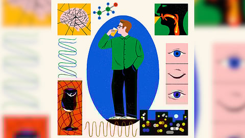 What alcohol does to the body