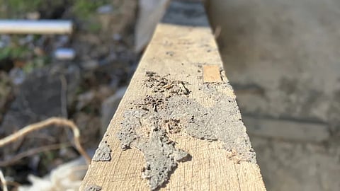 Image used for representative purpose