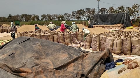 Harvested paddy seen piled up outside a DPC at Boothalur in Thanjavur