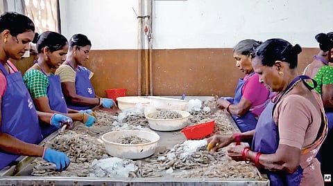 Representative image for sea food industry