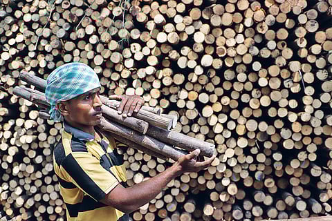 A worker at a Chepauk eatery. Amid LPG supply disruptions, commercial kitchens are turning to traditional cooking methods