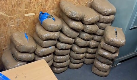 Ganja packs seized in Coimbatore