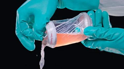 Plastic health: Can you truly detox your body from plastic?