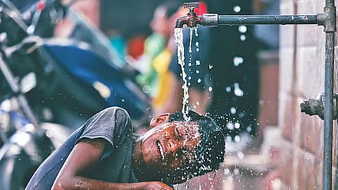 1st in Tamil Nadu this year, Vellore breaches 40 C