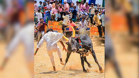 Manjuvirattu at Pattamangalam was conducted without permission