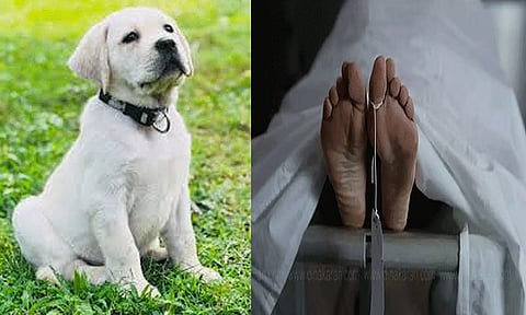 Thoothukudi: Woman dies of rabies after being scratched by her pet puppy