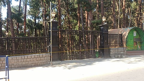 The Pine Forest tourist spot was closed for tourists on Thursday