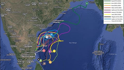 Tagged turtles from TN reach Sri Lanka Dome