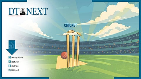 Representative image of cricket