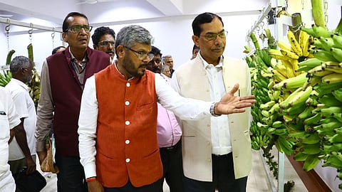 Protection of Plant Varieties and Farmers Rights Authority Chairman T Mohapatra at the field gene bank inagurated in NRCB in Tiruchy on Monday